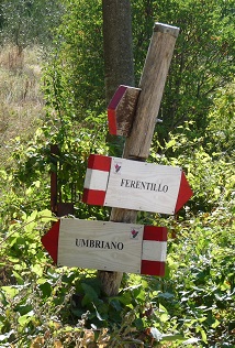 umbriano cartelli