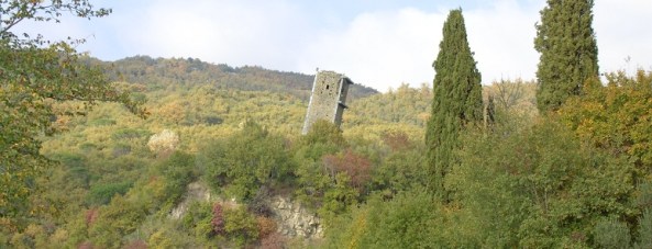 torre vernazzano pana