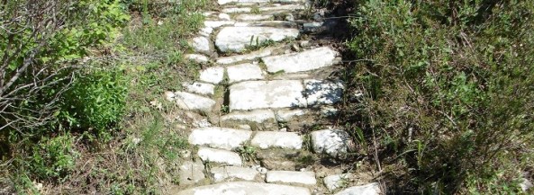 strada basolata pana